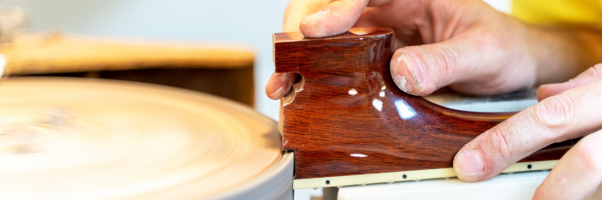 Banjo Neck Services Article